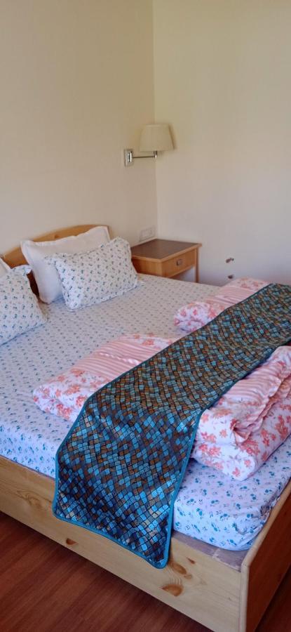 לה Lhardak Home Stay מראה חיצוני תמונה
